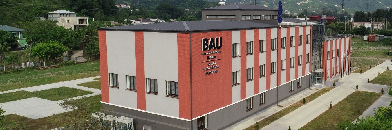 bau university in georgia