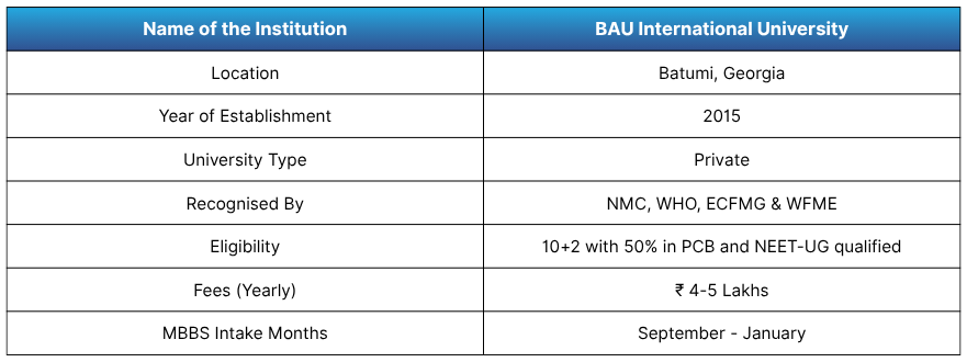 BAU International University