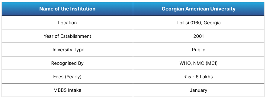 Georgian American University