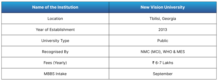 New Vision University
